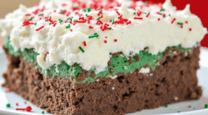 Christmas Snowy Dirt Cake Recipe